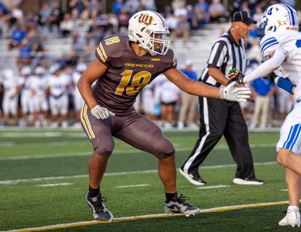 2026 Snapshot: Western Brown